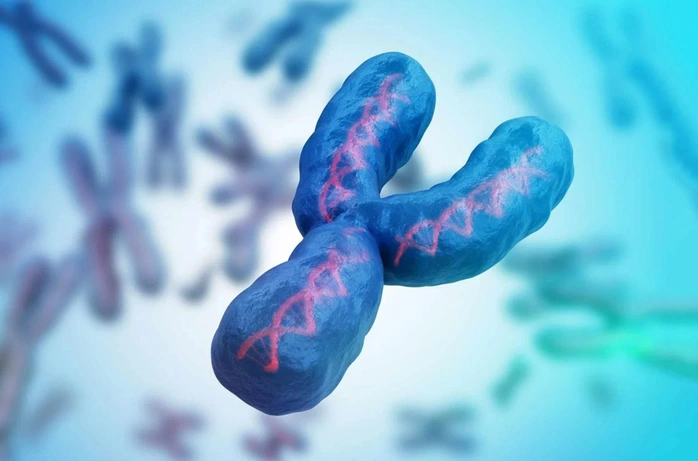 Nam giới đang mất dần nhiễm sắc thể Y